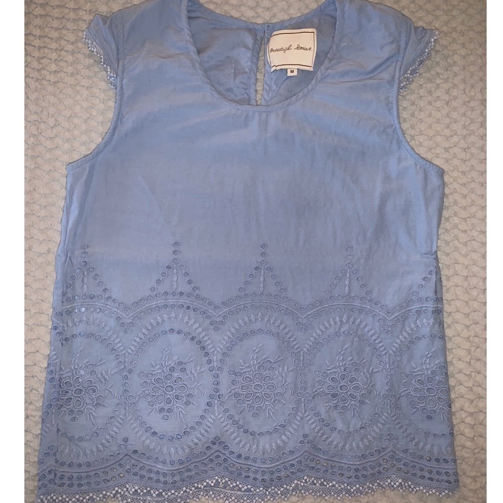 Light Blue Beautiful Stories Embroidered Top